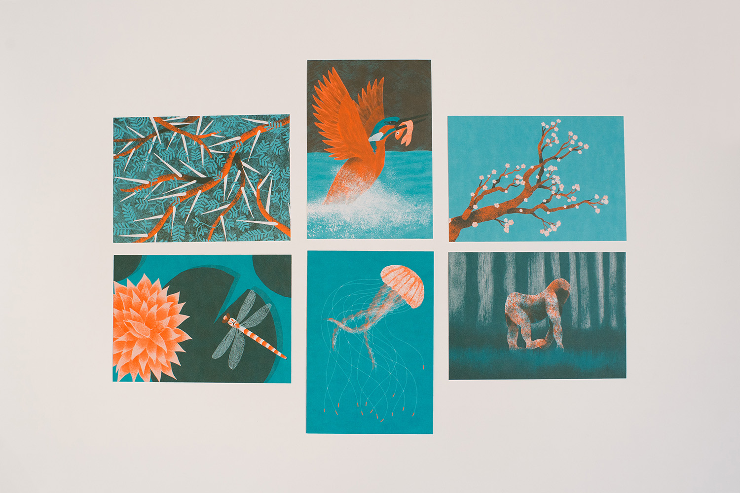 Vue d'ensemble du lot de cartes, illustrées par Juliette Maroni pour les éditions du Trainailleur
