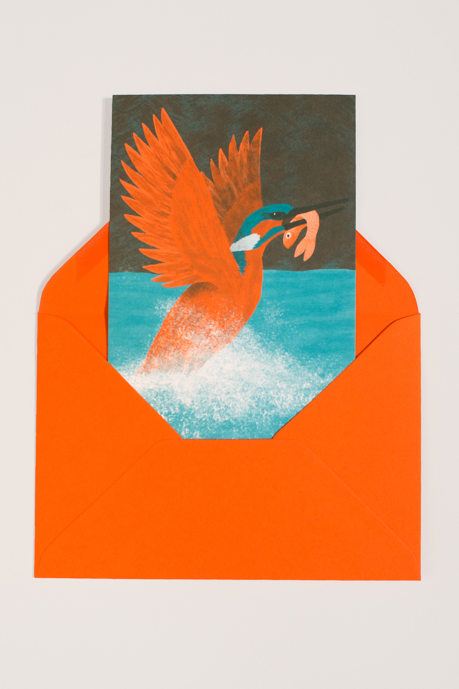 Carte représentant un martin pêcheur, illustrée par Juliette Maroni pour un lot de six cartes printanières aux éditions du Trainailleur