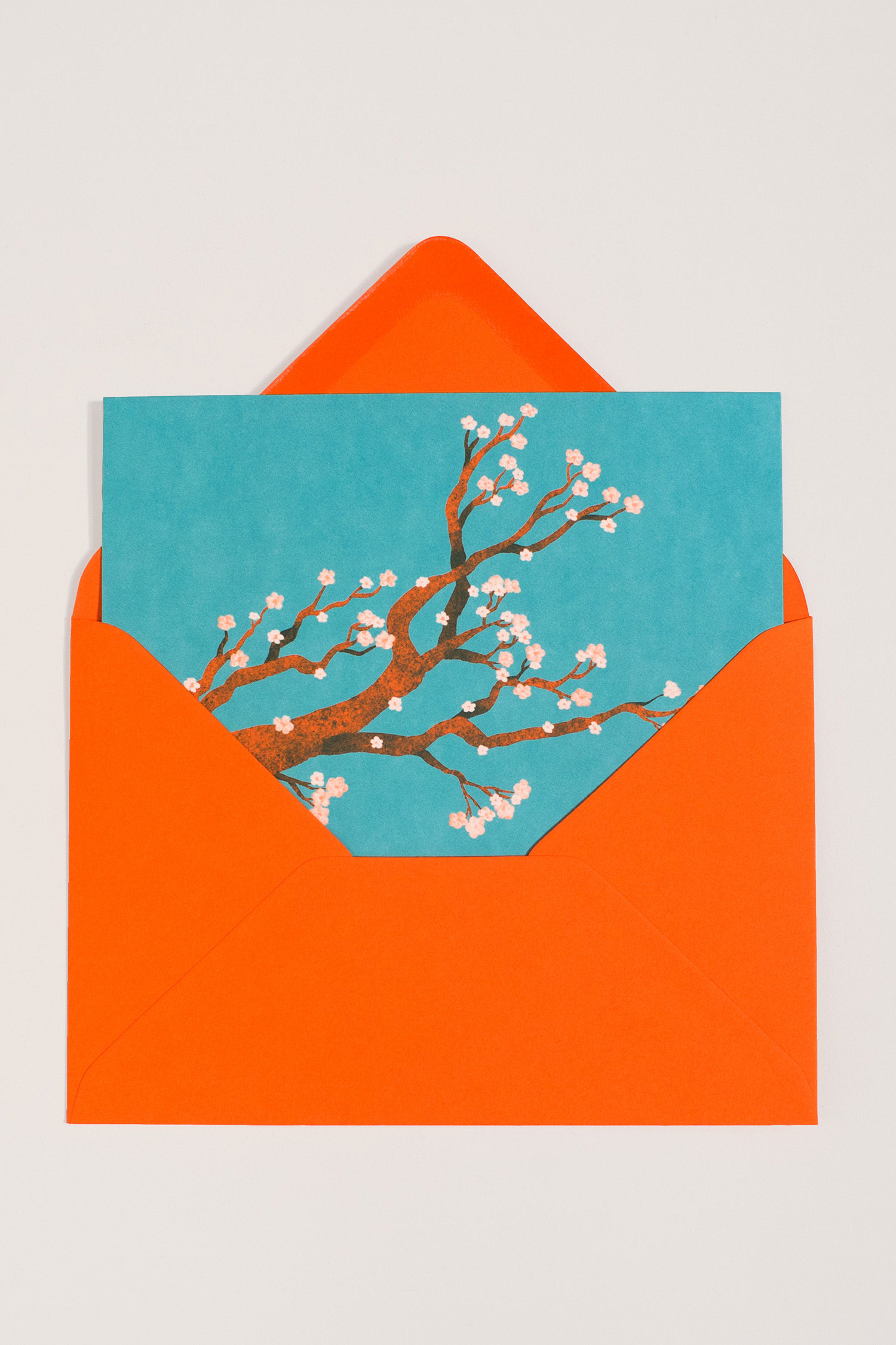 Carte représentant une branche de cerisier en fleur, illustrée par Juliette Maroni pour un lot de six cartes printanières aux éditions du Trainailleur