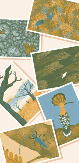 CARTES POSTALES AUTOMNALES